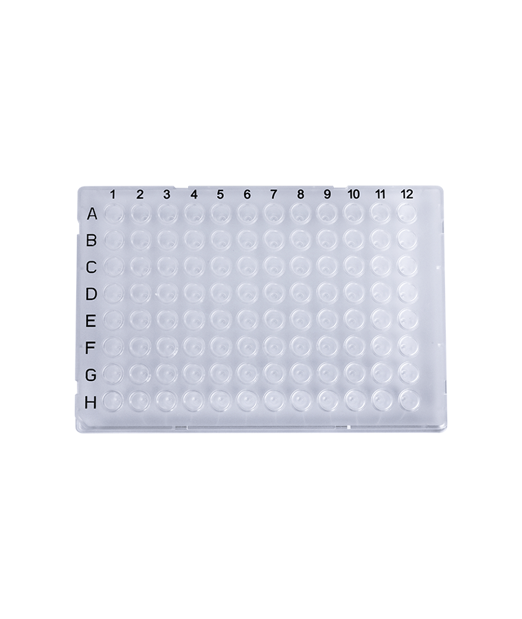 PCR20-C-96-FS-BC 0.2ml แผ่น PCR เต็มกระโปรง 96 หลุมที่ชัดเจน